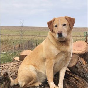 Meet your Posher, Belinda